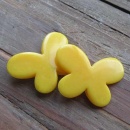 Kinderkraal vlinderkraal geel