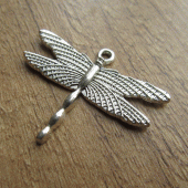 Bedeltje libelle zilverkleurig